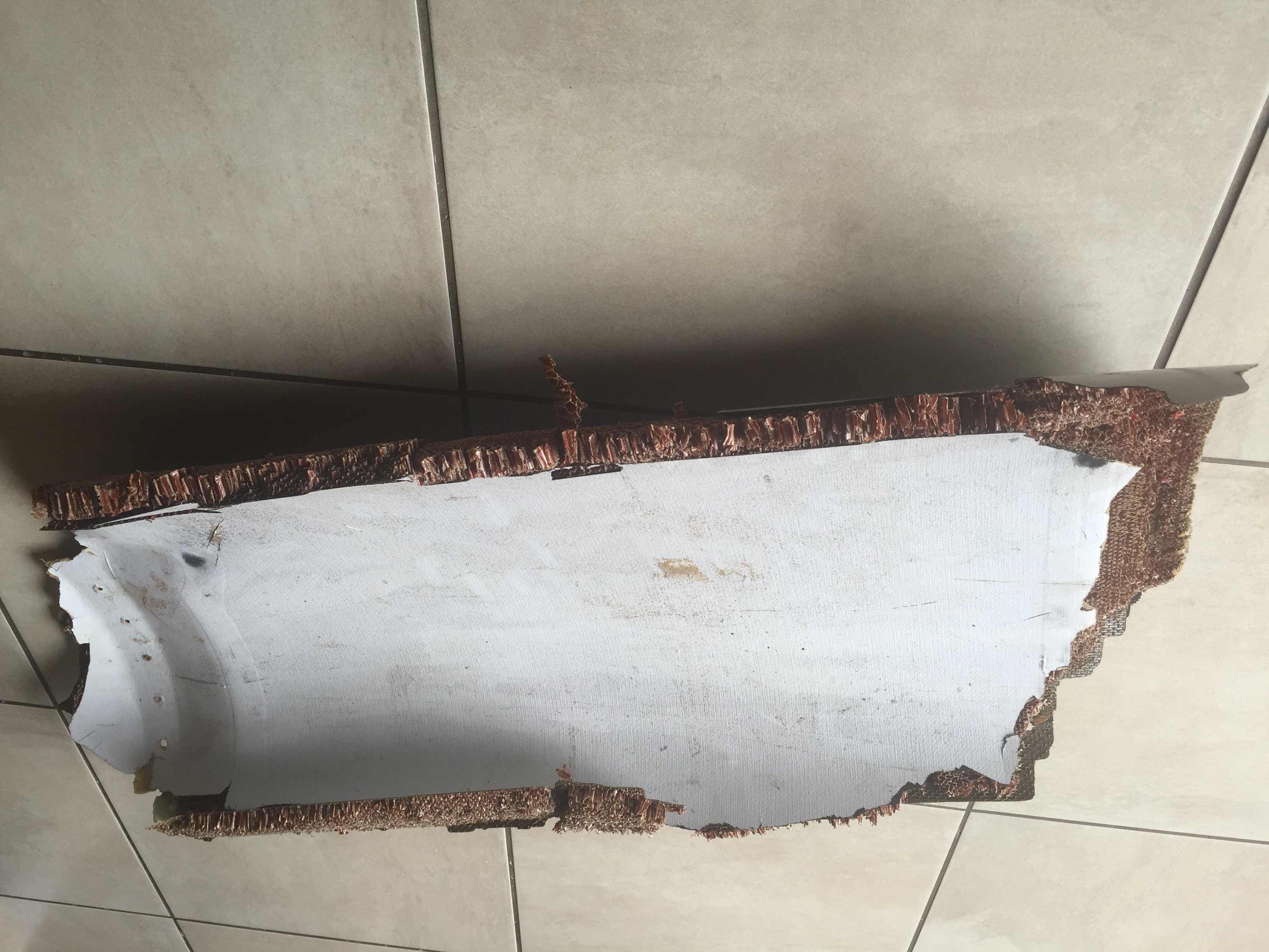 South African teen finds suspected piece of missing MH370 plane
