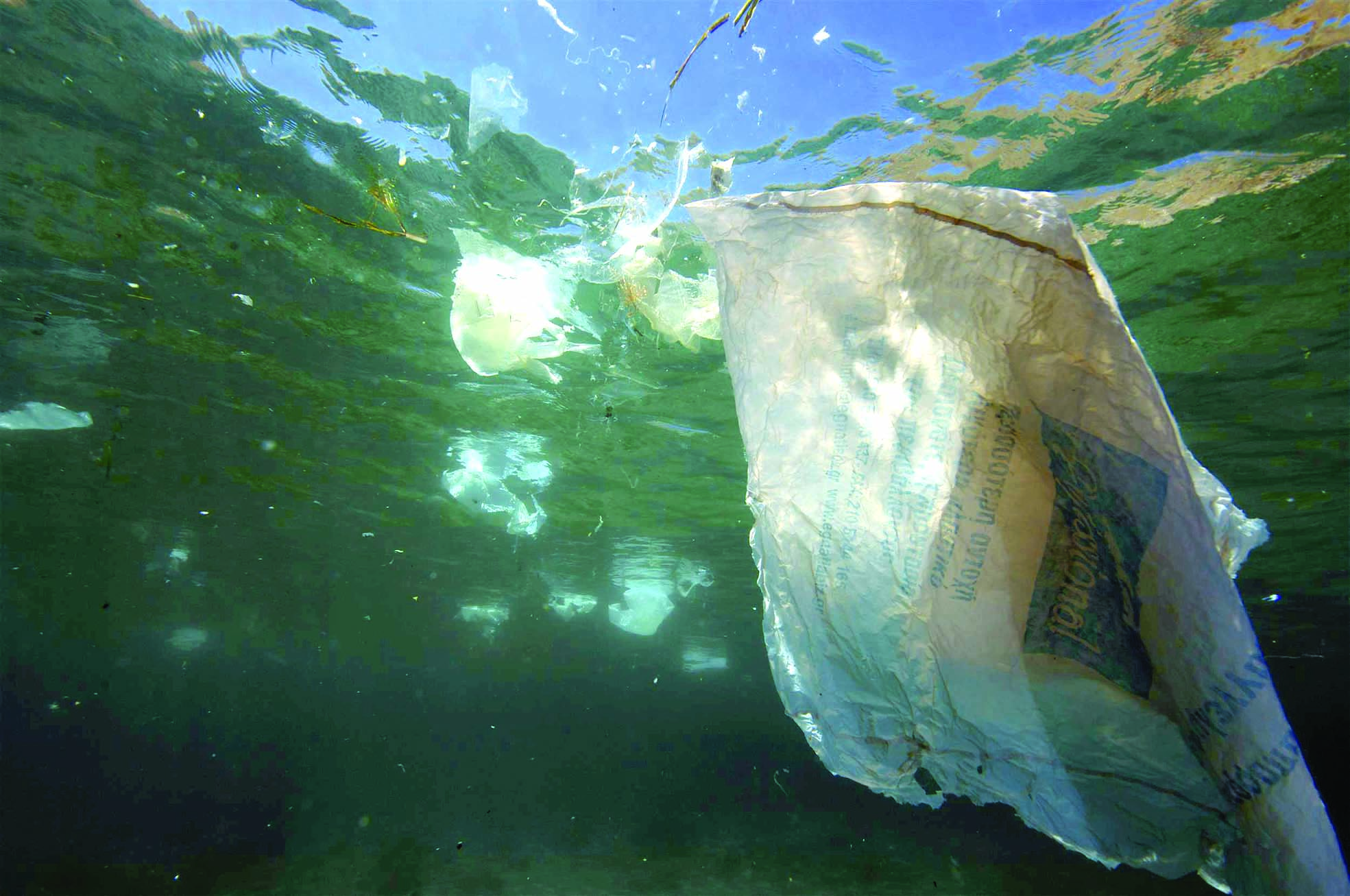منتصف القرن الحالي: عدد أكياس البلاستيك أكثر من عدد الأسماك