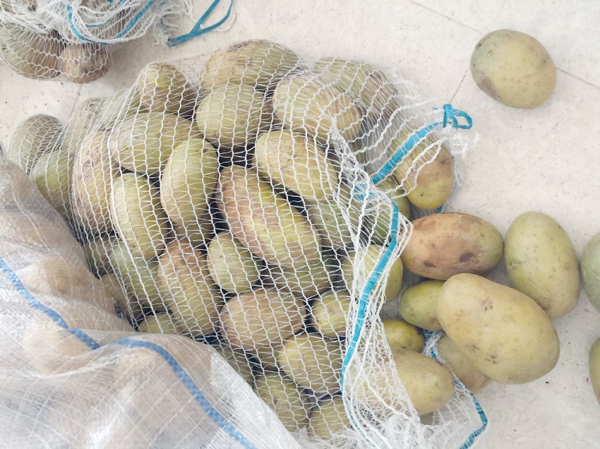 Poisonous potatoes seized in Oman