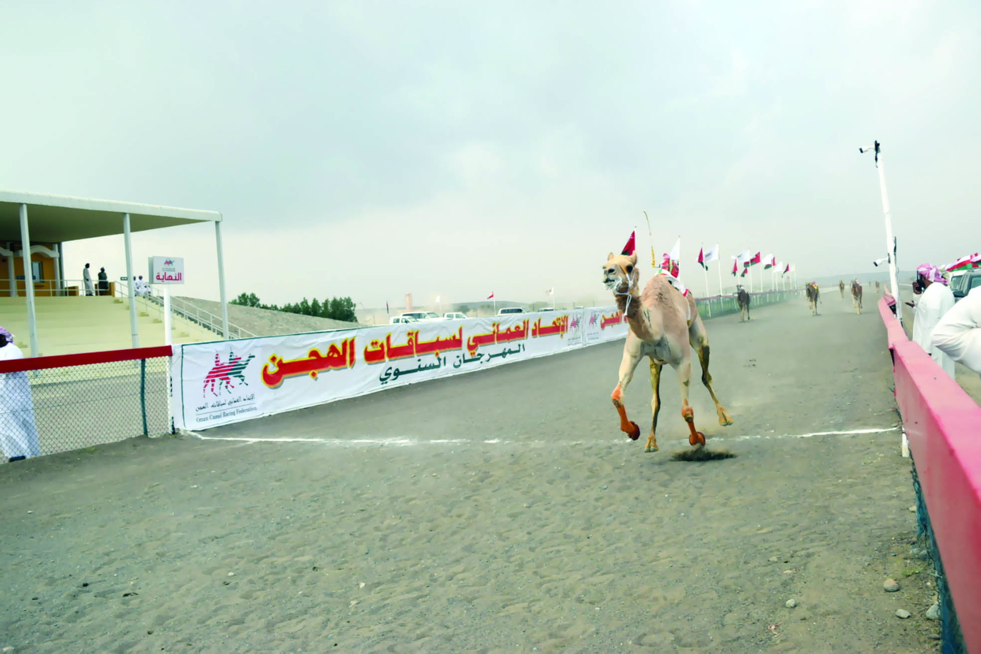 وزير الصحة يرعى اليوم ختام المهرجان الســـنوي للهجــــن على ميـــدان صحــــار