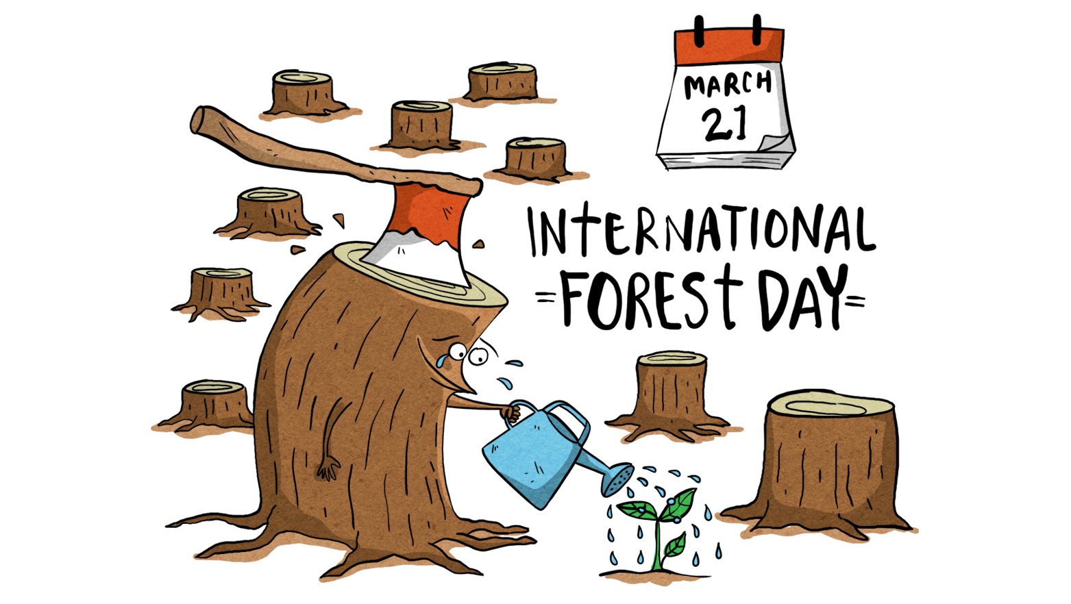 March 21: International Forest Day