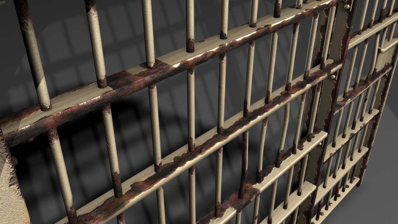 دولة تغلق سجونا بسبب "قلة المجرمين" ما هي؟