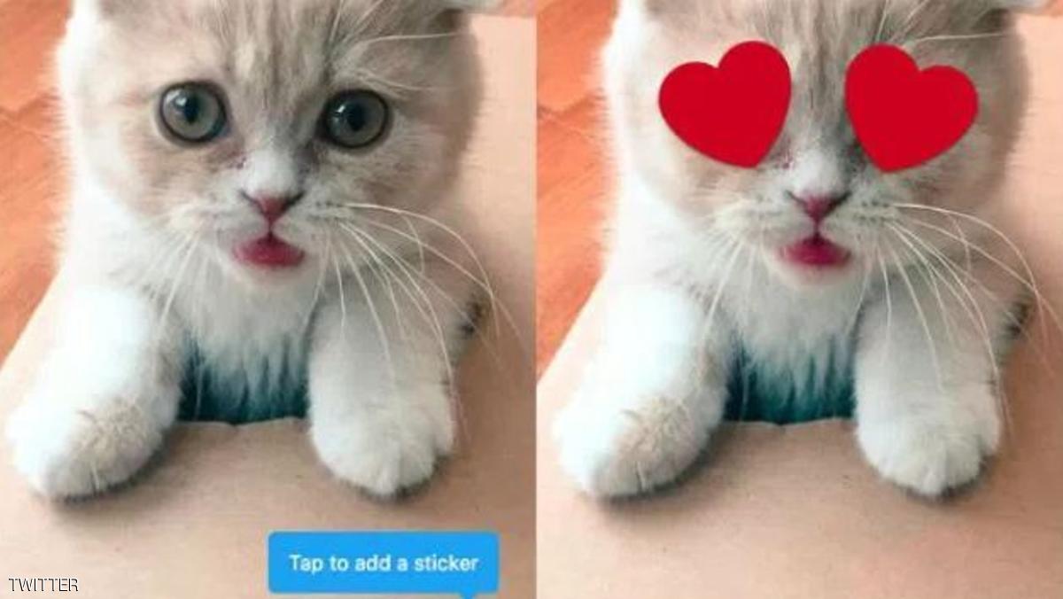 تويتر يختبر ميزة "ملصقات" جديدة