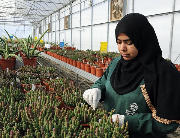 الرفد مول 1668 مشروعا خلال عامين .. و5ر28 بالمائة من أصحاب المشاريع من فئة الإناث