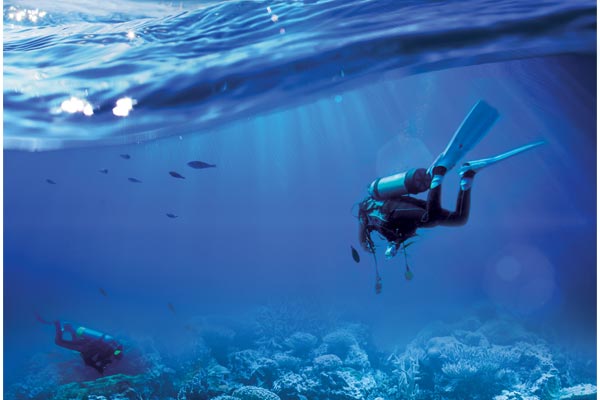 Scuba Diving in Oman