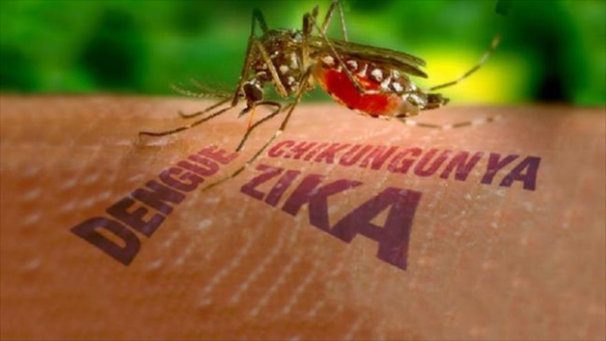 أمريكا: فيروس زيكا أشد خطرا مما كنا نعتقد في السابق