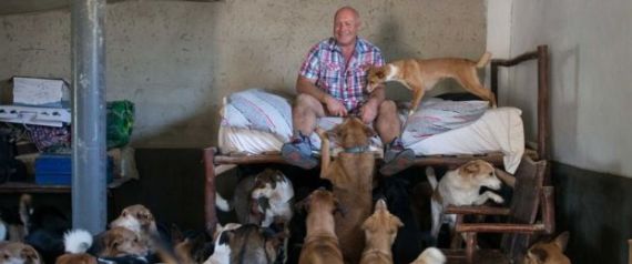 بريطاني يتخلى عن عمله ويسافر إلى طنجة المغربية للعيش رفقة 150 كلباً في غرفة.. تعرف على قصته