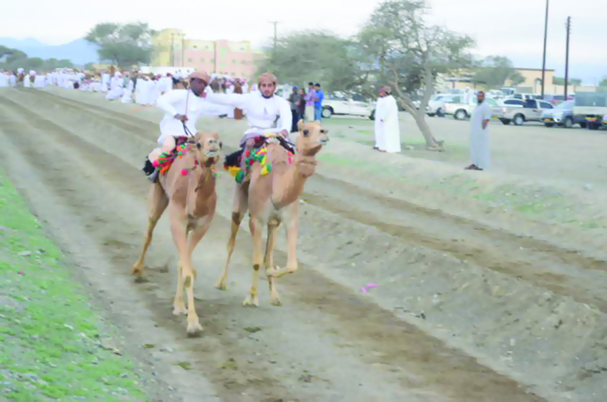 إثارة كبيرة في مهرجان ركضة عرضة الهجن والخيل بفلج القبائل