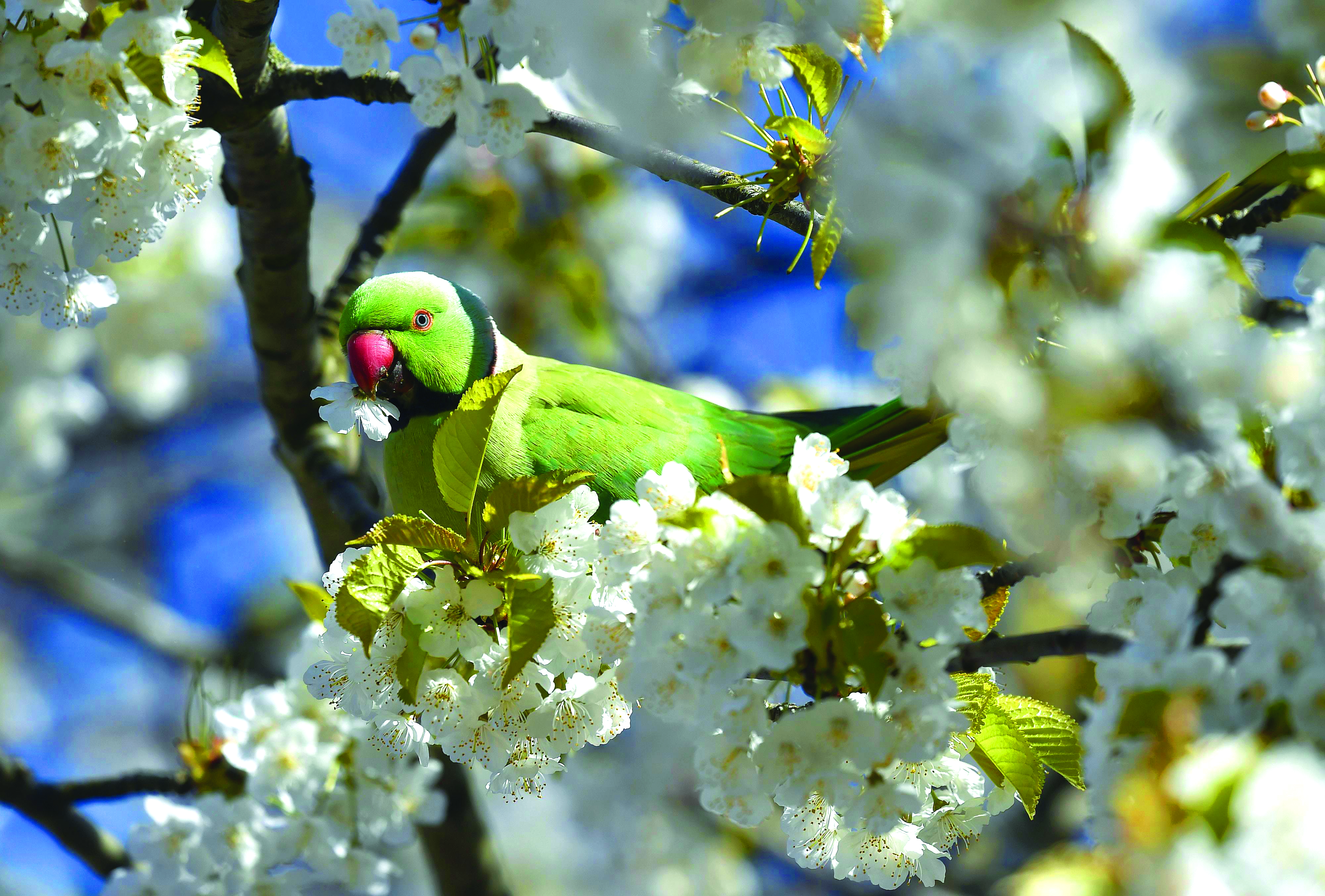 World in Pictures - April 27