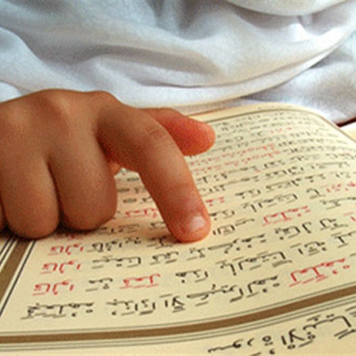 أمين عام مكتب الإفتاء يرعى حفل المدارس الخاصة لحفظة القرآن الكريم