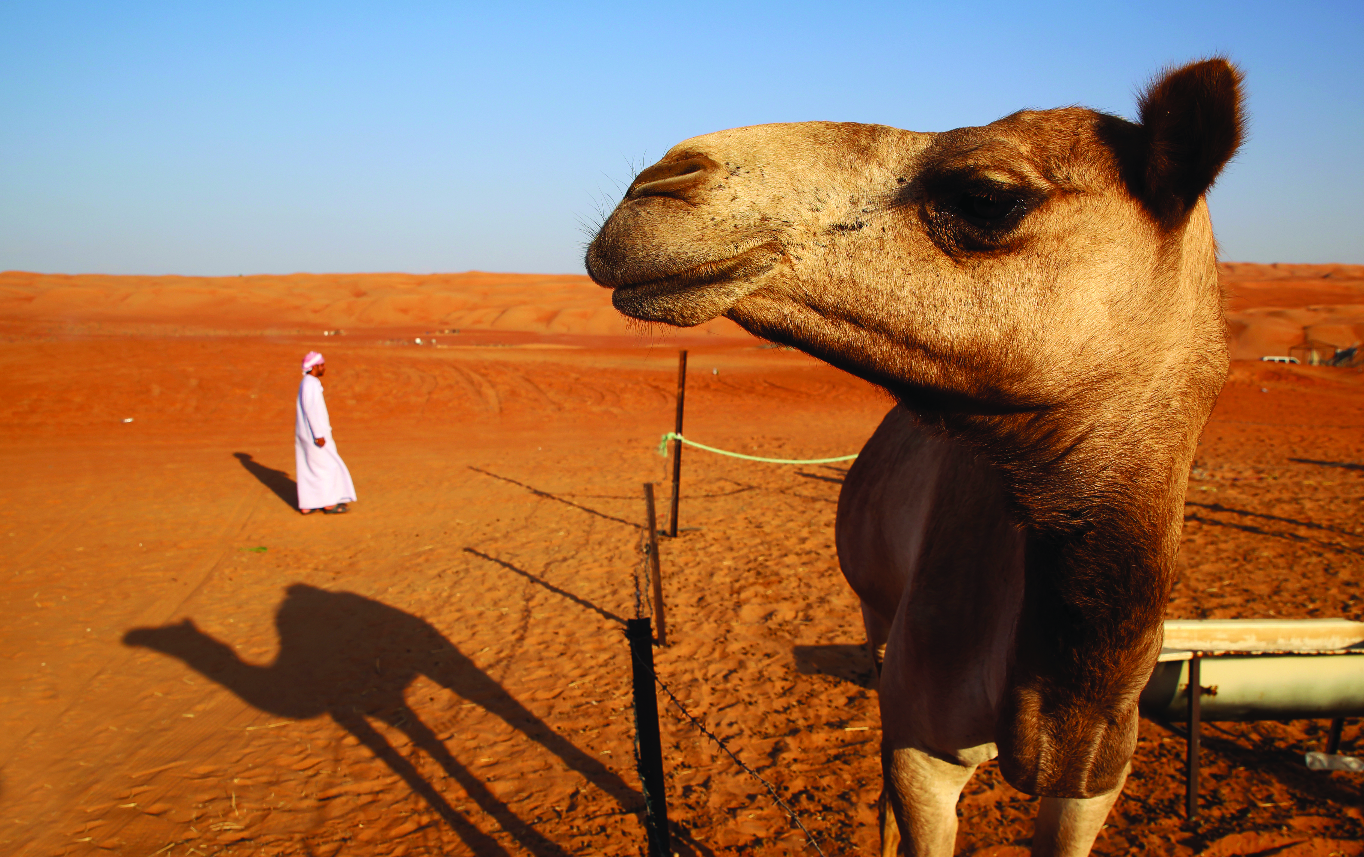 Desert Crossing In Oman
