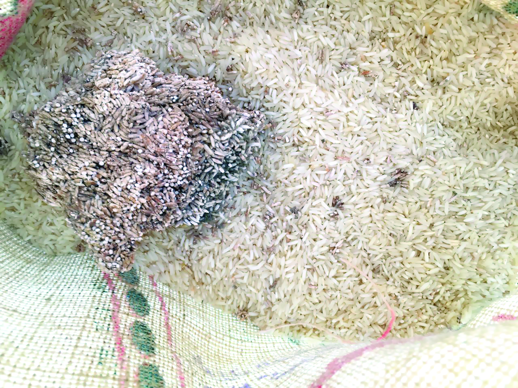 ضبط  22 طن من الأرزّ الفاسد ببركاء