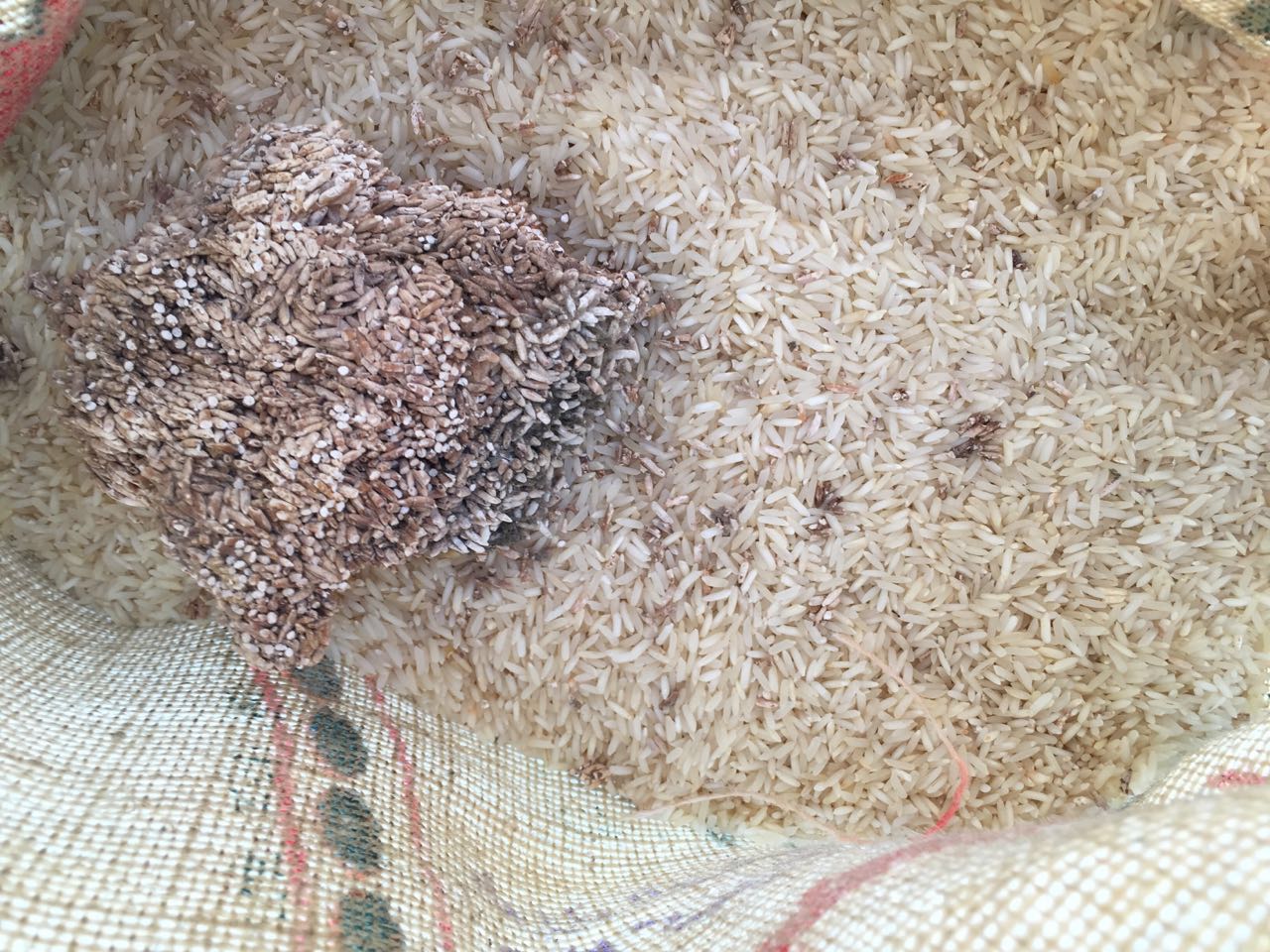 ضبط 22 طن من الأرزّ الفاسد ببركاء
