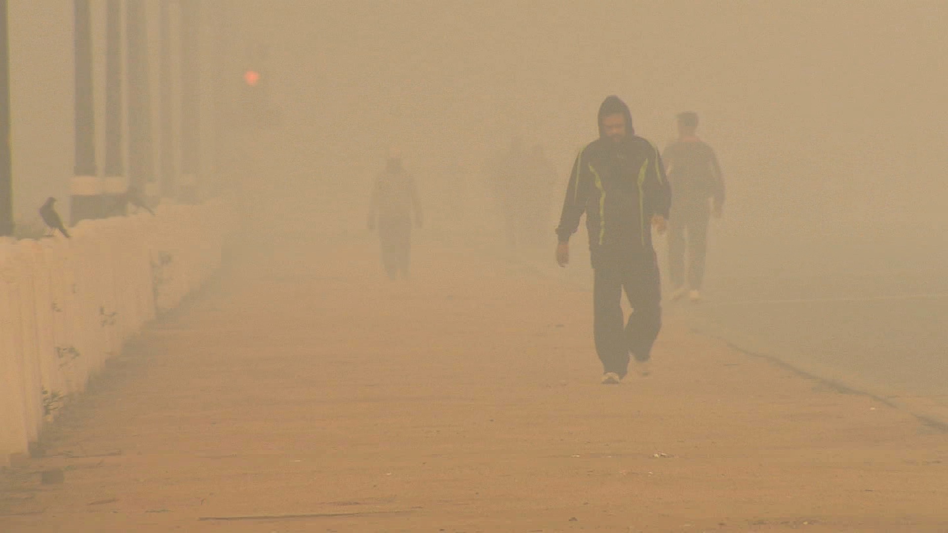 سبعة ملايين شخص ضحايا الغبار في العالم