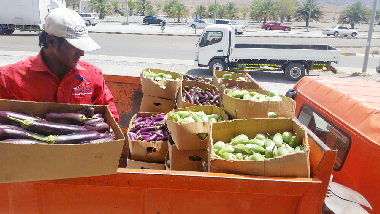 إتلاف 1500 كيلوجرام من المواد الغذائية بمحضة