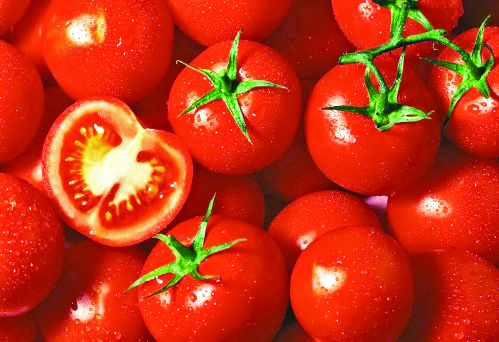 الطماطم تساعد على الحد من أمراض القلب