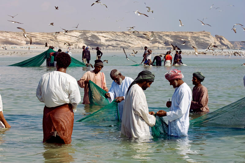 ظفار..ثروات بحرية ضخمة وعوائد تصديرية تدعم التنمية الاقتصادية والاجتماعية في السلطنة