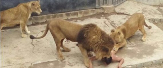 أول انتحار من نوعه.. رجل يرمي نفسه في قفص أسود!