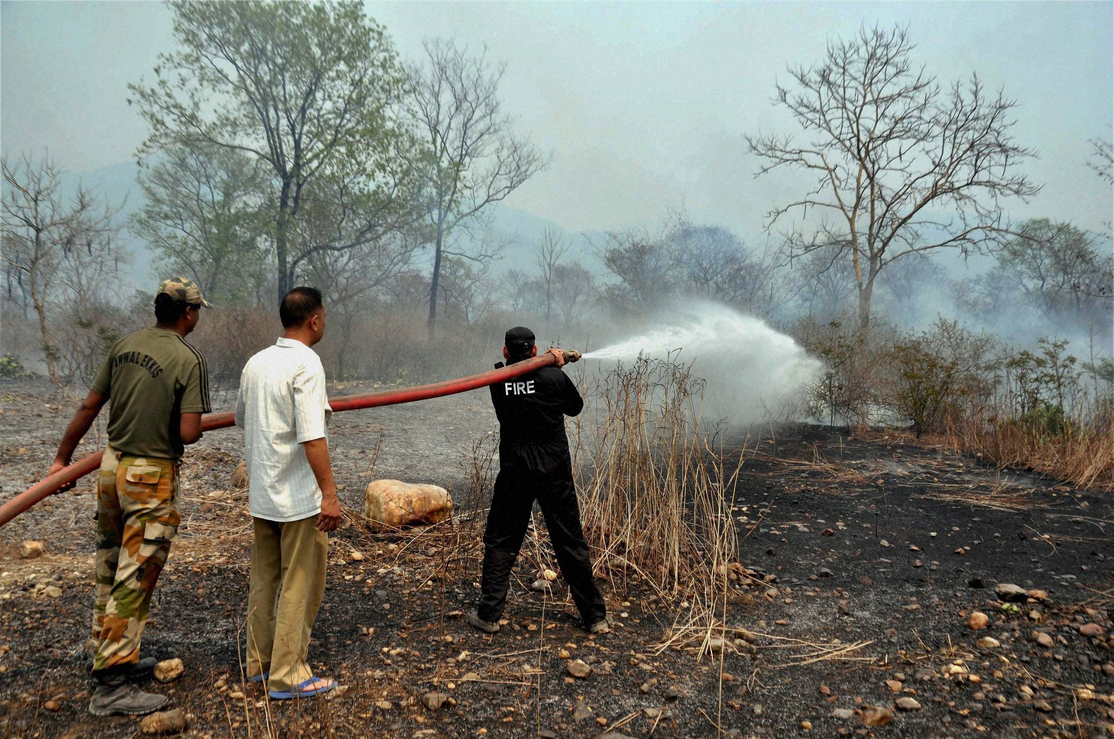 Widespread showers help contain forest fires in north Indian state of Uttarakhand