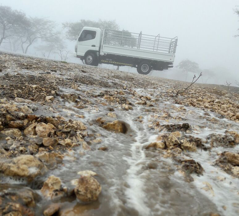 Oman weather: Rain falls in parts of Oman