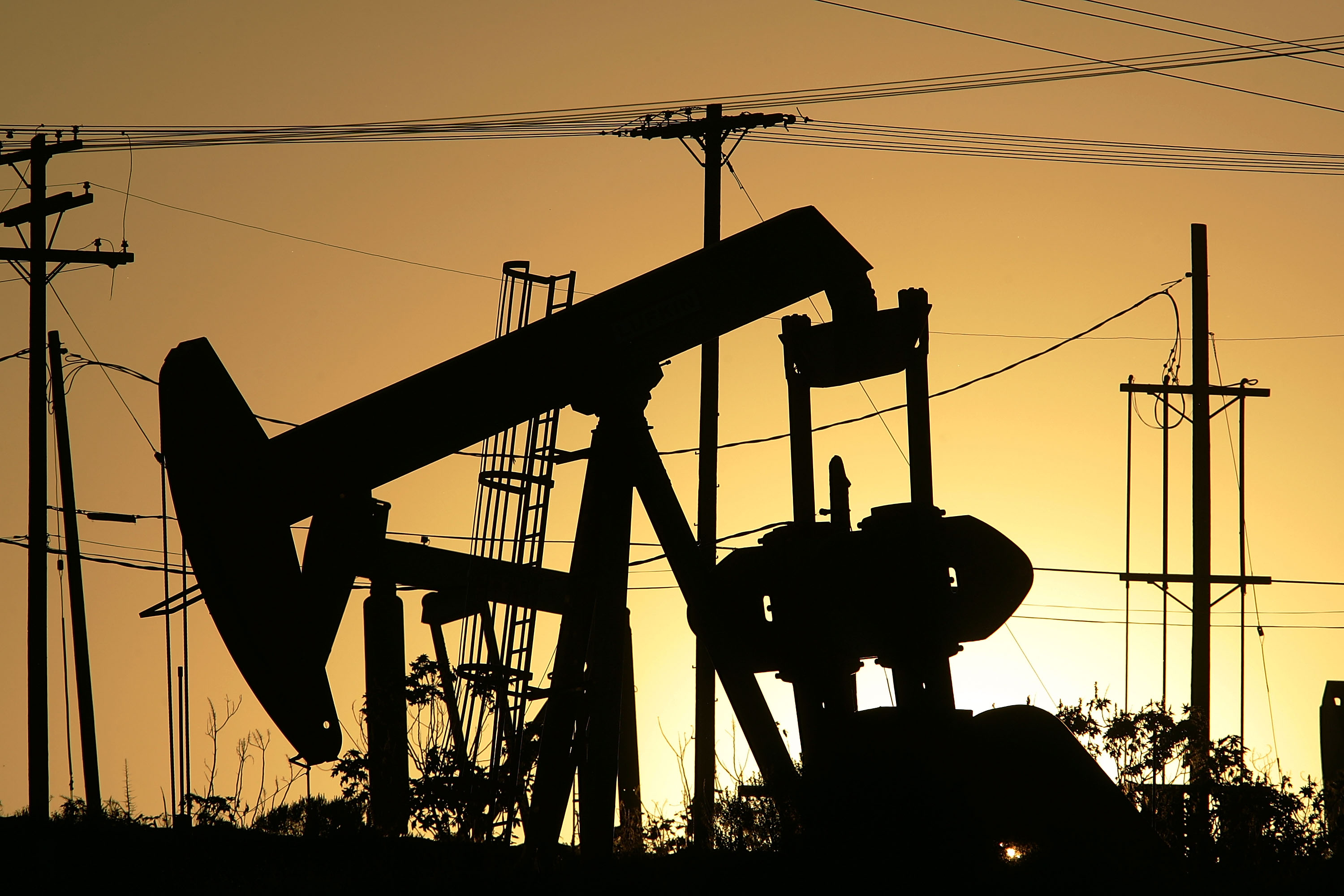 دول الخليج أعضاء أوبك تسعى لتحرك مشترك بشأن إنتاج النفط