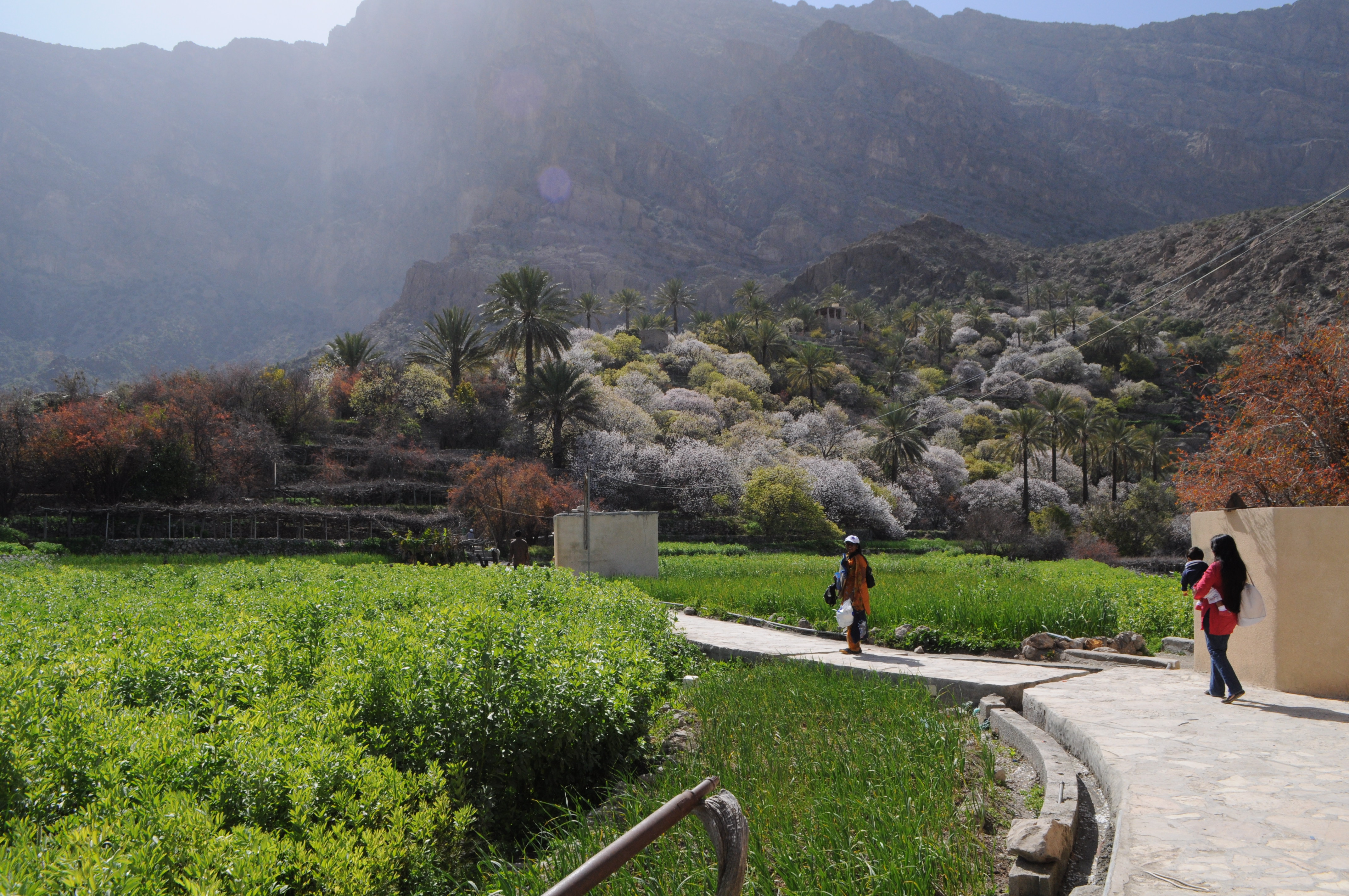 Oman Tourism: Visit Picturesque Wekan