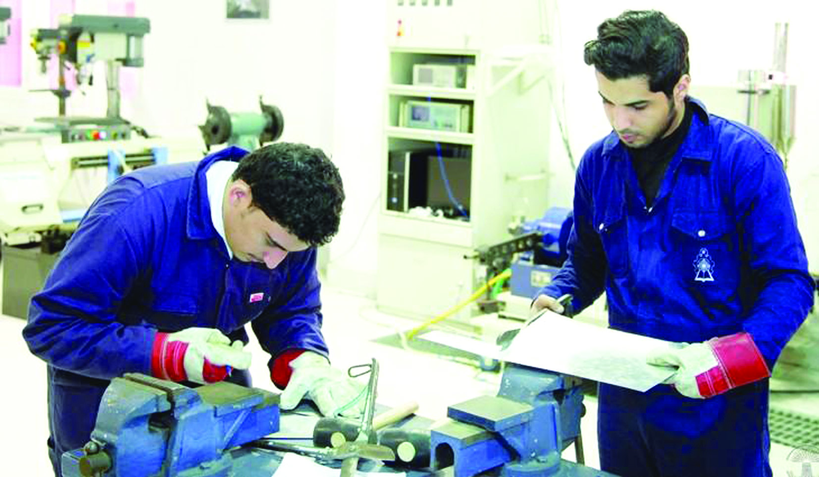 اللائحة التنظيمية للمؤسسات التدريبية الخاصة