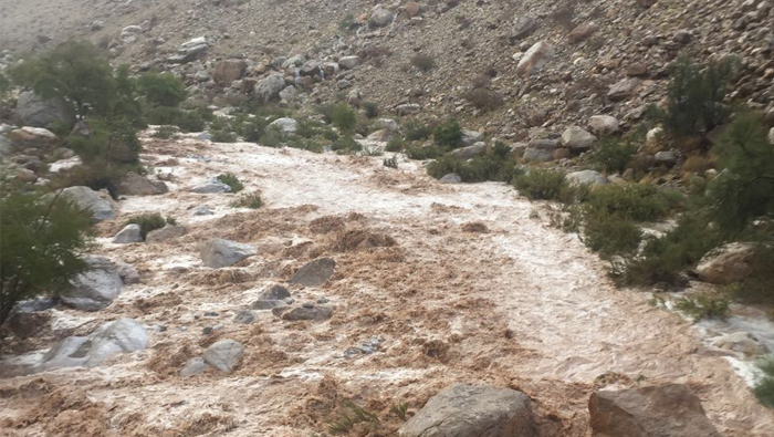 Oman weather: Rain falls in many parts of Sultanate