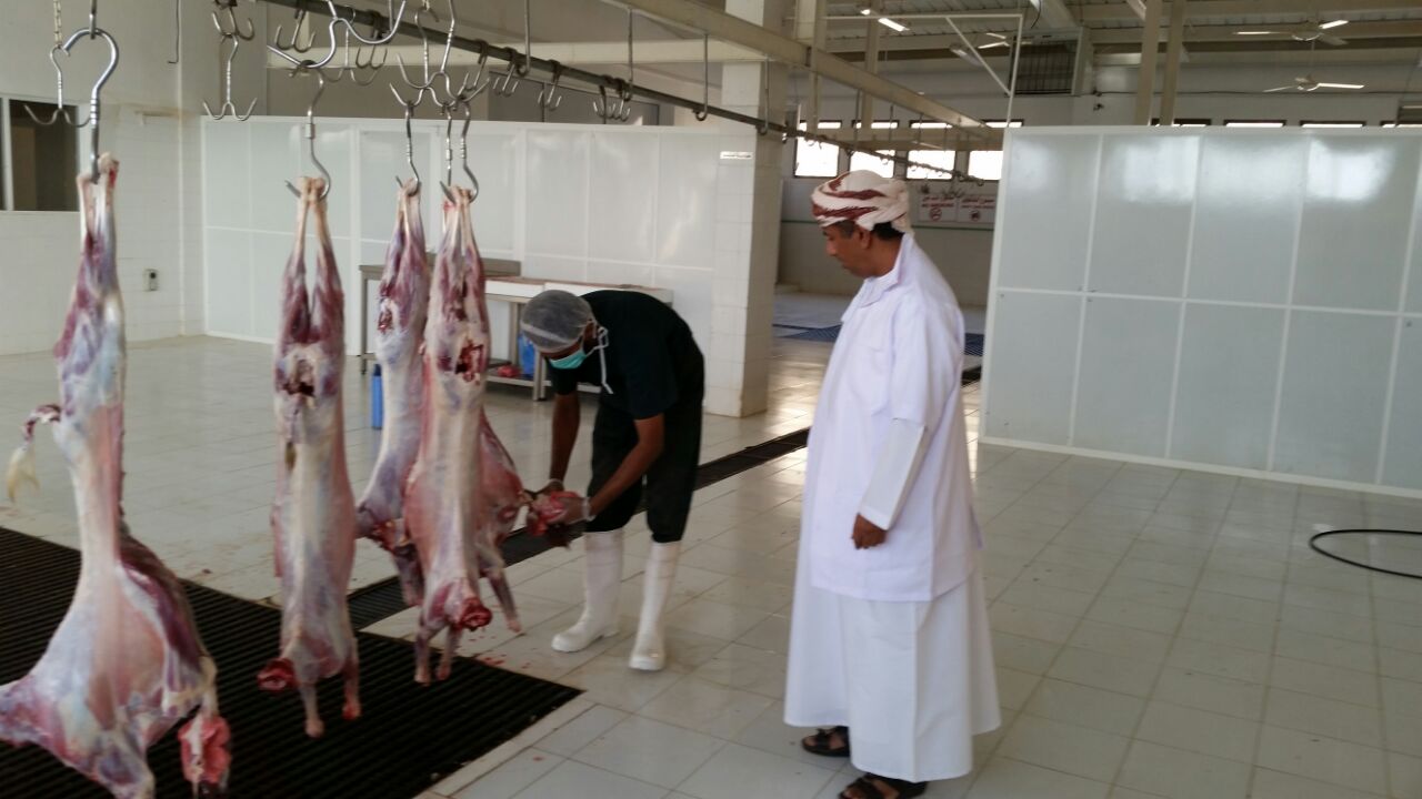 ذبح 4561 رأسا من المواشي بمسالخ بلديات جنوب الشرقية منذ بدء الشهر الفضيل