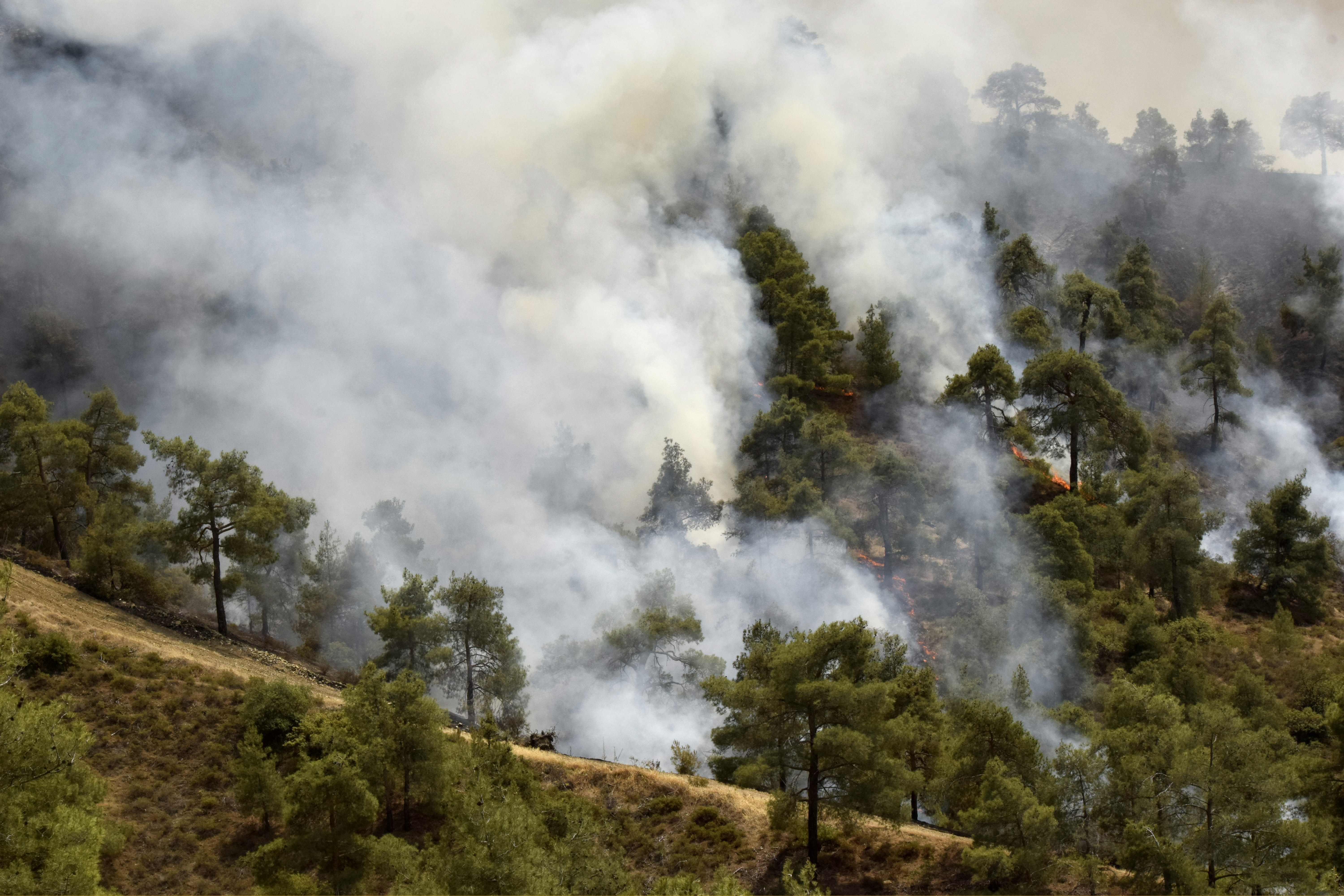 Firefighters killed tackling huge Cyprus forest blaze