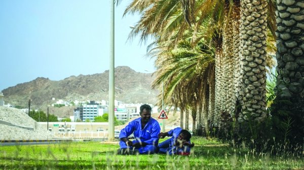 6 firms a day caught breaking midday break rules in Oman