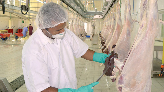 Oman health: Adopt preventive measures to avoid Crimean-Congo Haemorrhagic Fever