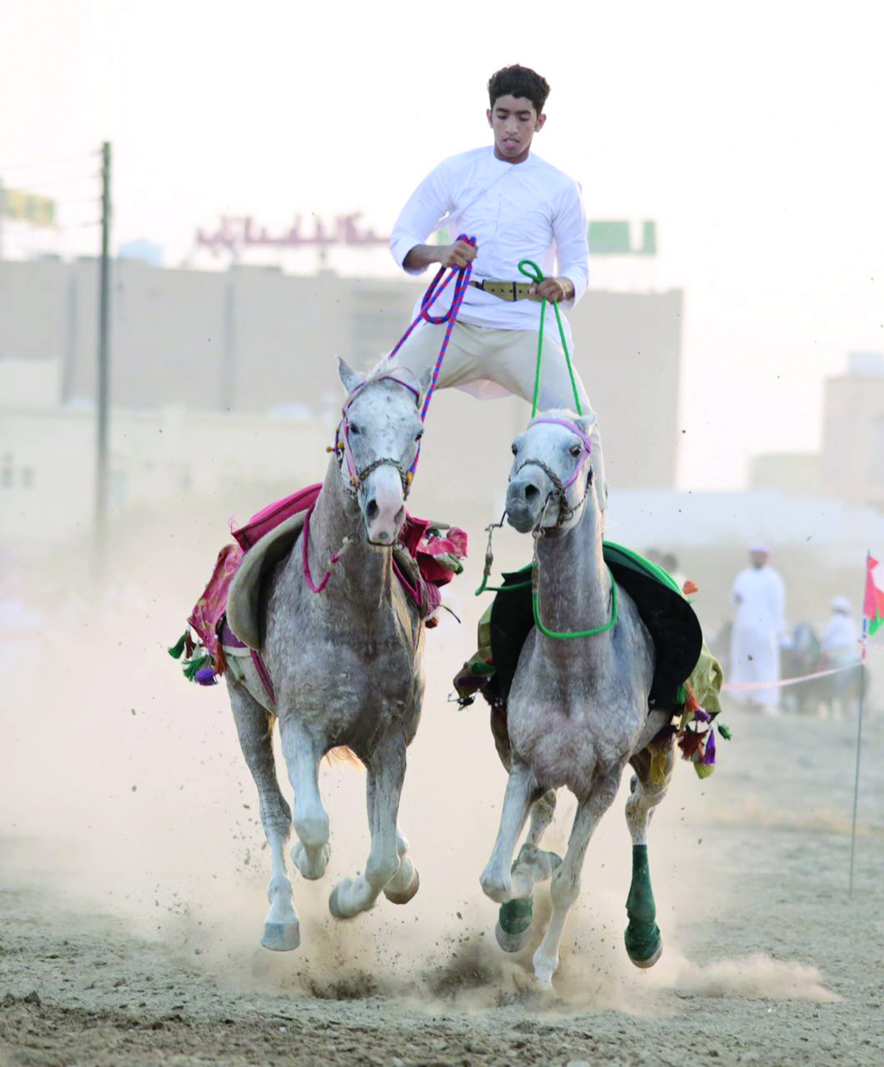 حفل استعراضي لفن التحكم بالخيل في لوى