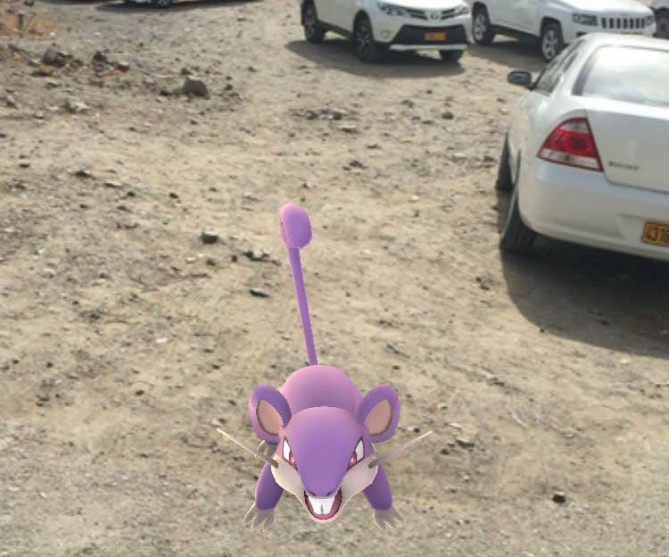 Pokémon Go a business opportunity in Oman