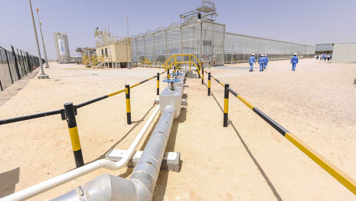 PDO’s Miraah solar project costs cut by 46%