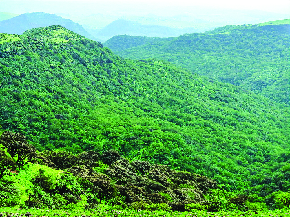 8 Best Places for Nature Lovers in Salalah