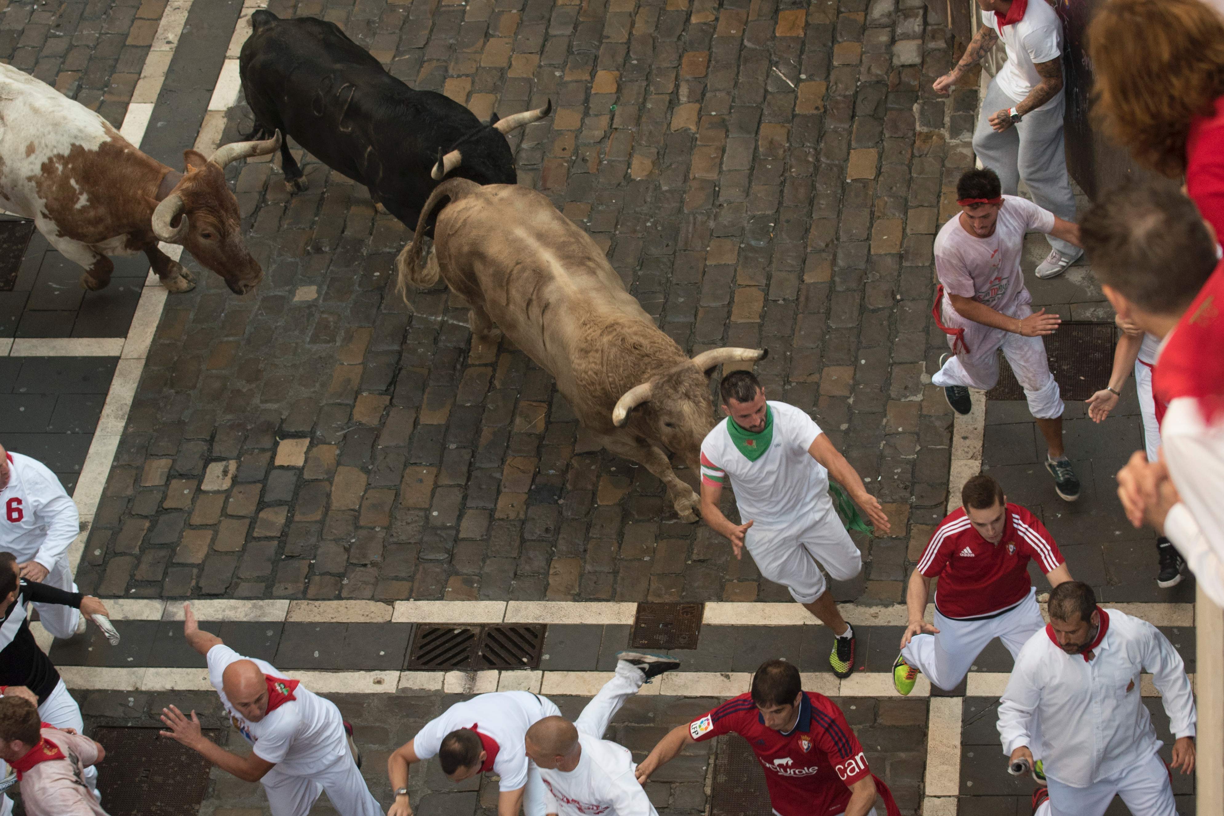Spain's San Fermin bull-running week kicks off without gorings