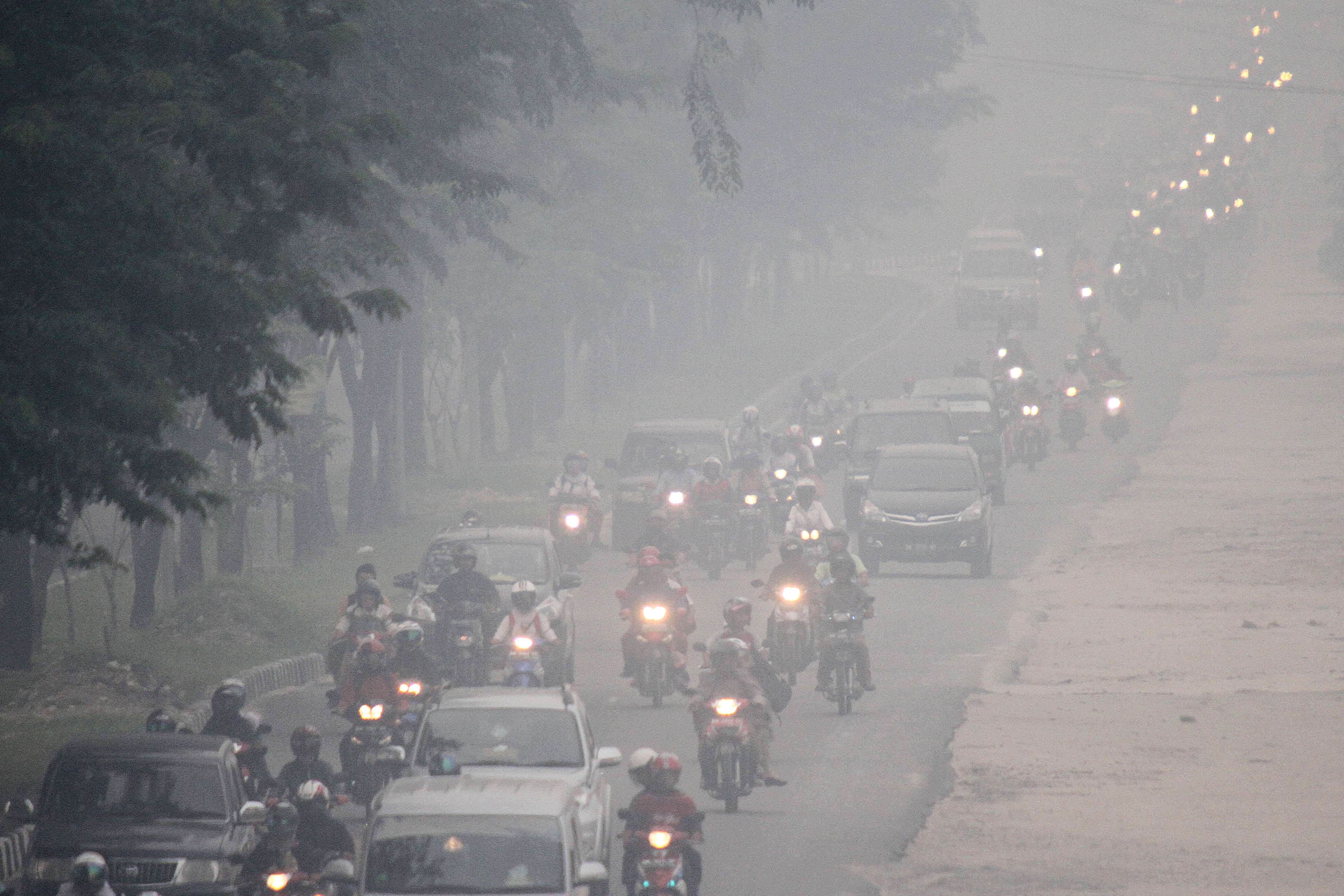 Air pollution’s true costs