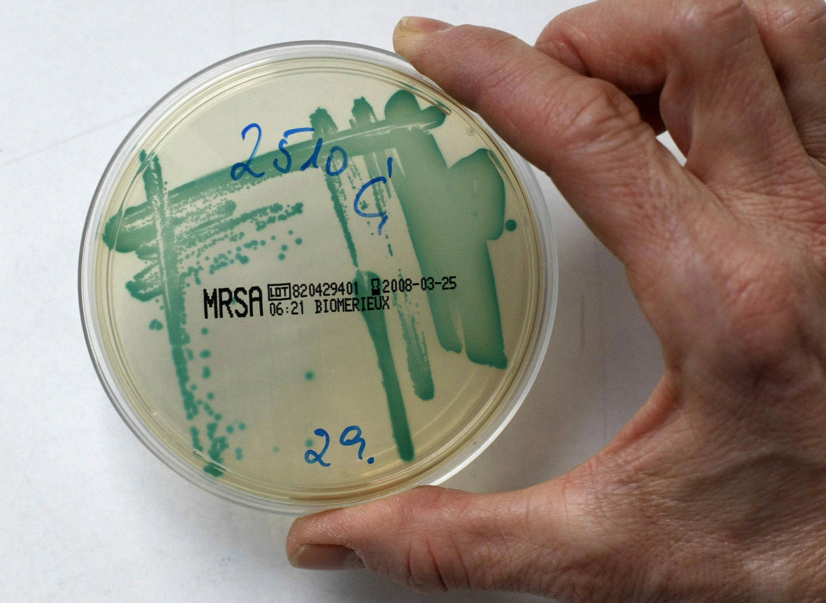 Antibiotic-resistant bacteria and newborns