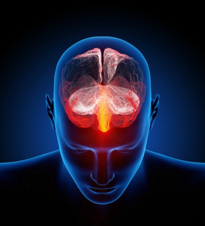 خفض مستوى نشاط اللوزة الدماغية يقلل من حدة الاصابة بالرهاب