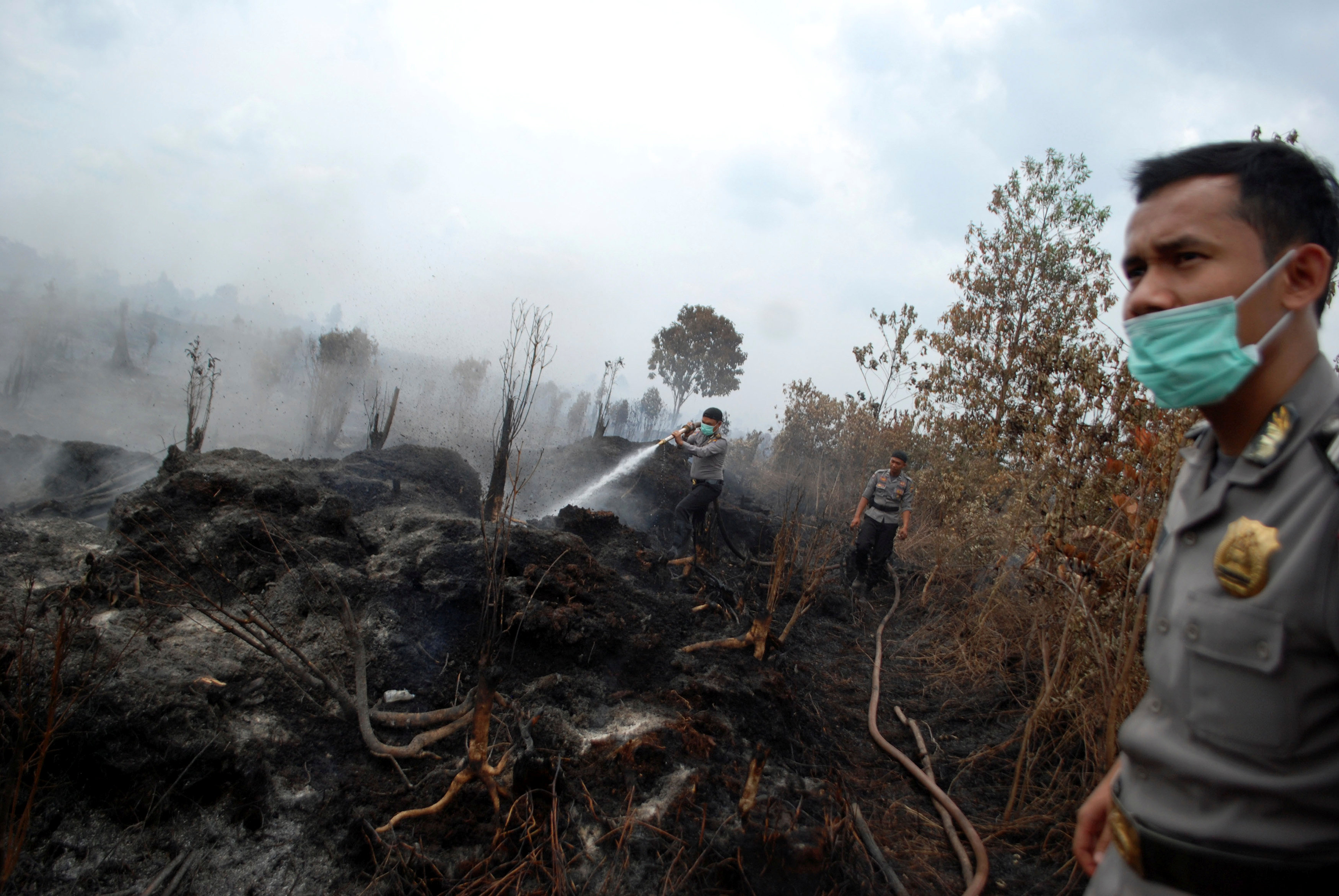Indonesian council issues fatwa against forest fires