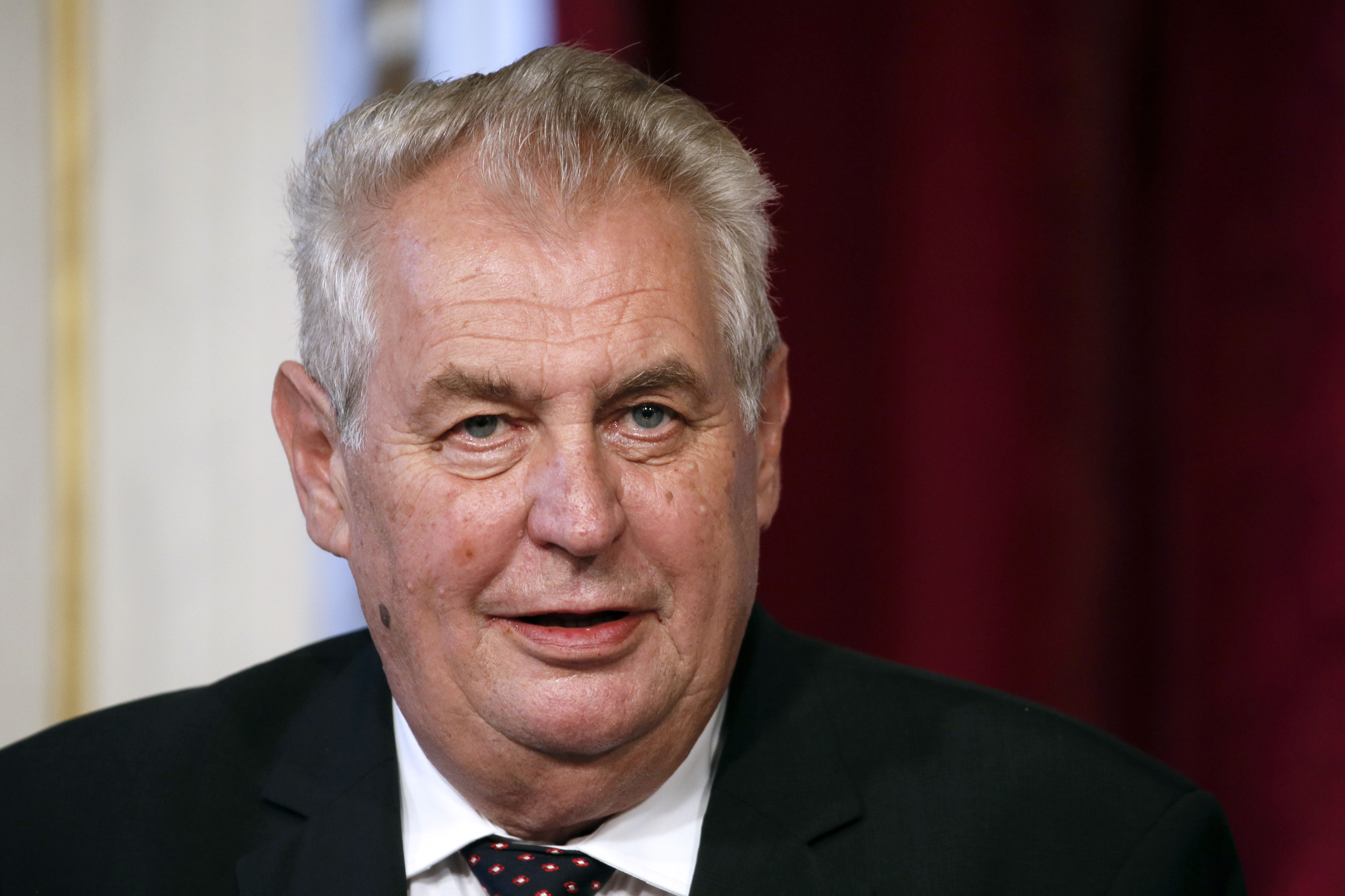 Czech president would cast ballot for Trump in US vote
