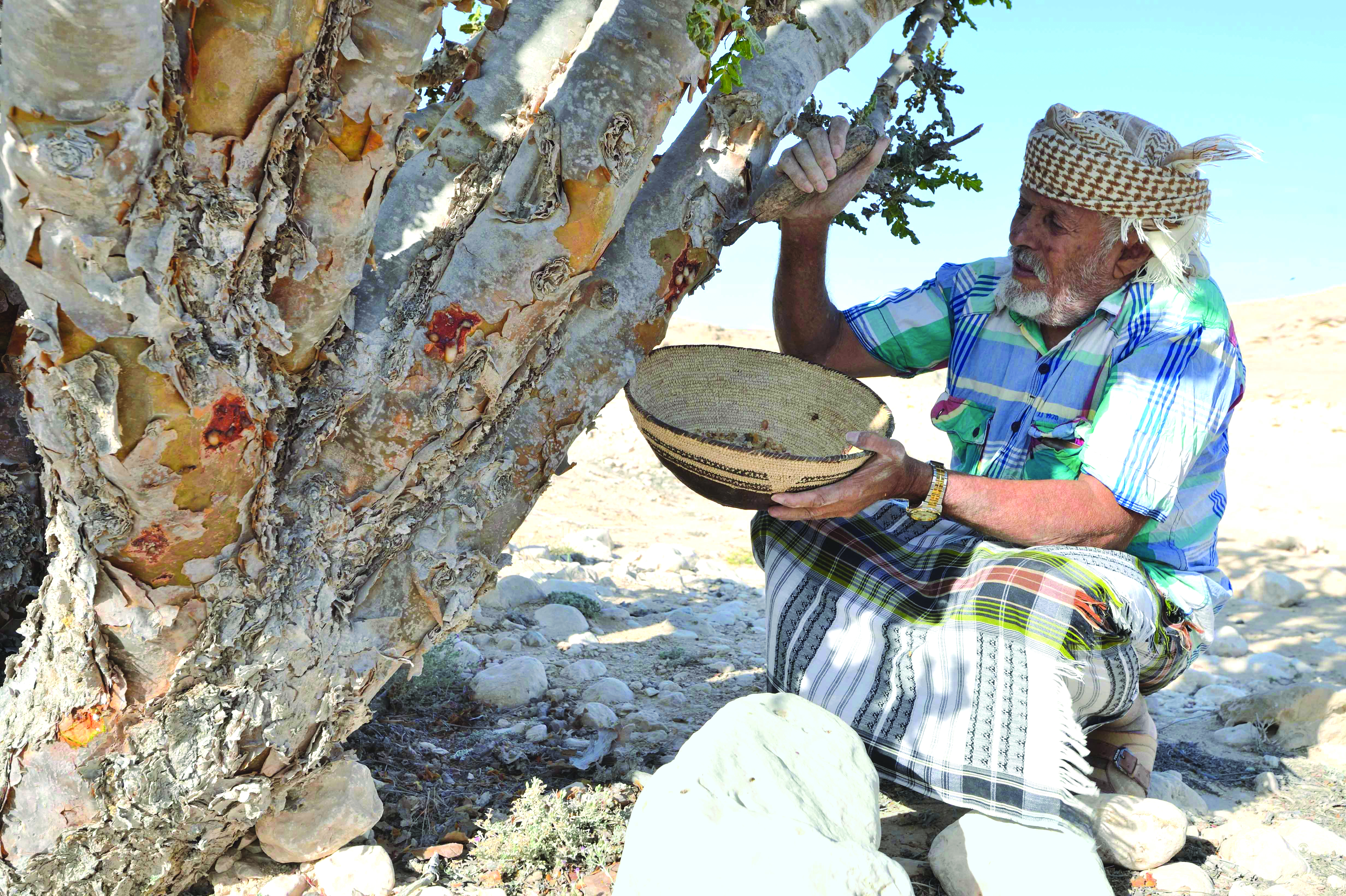 Oman tourism: More than 109,000 tourists visit Frankincense Land Site