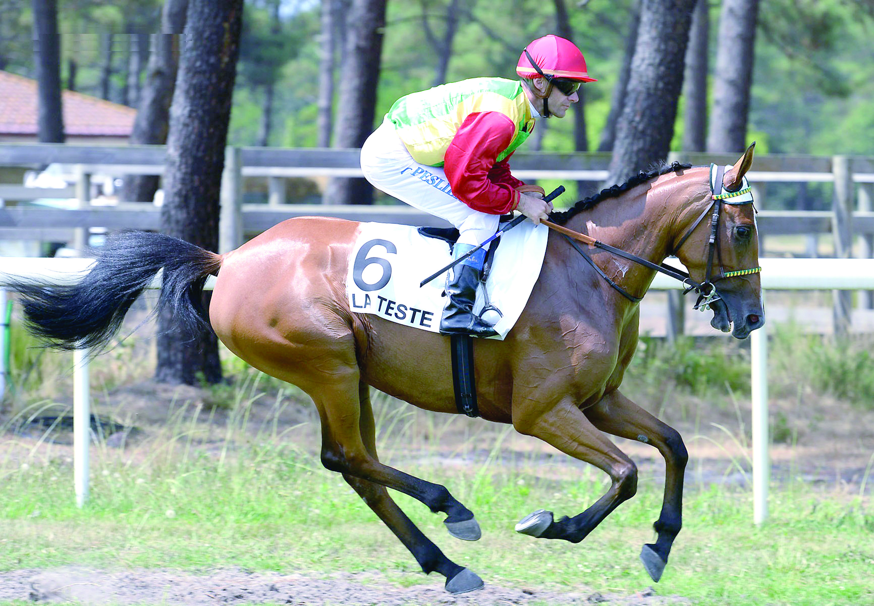 الخيالة السلطانية تشارك في منافسات سباق قوس النصر بفرنسا