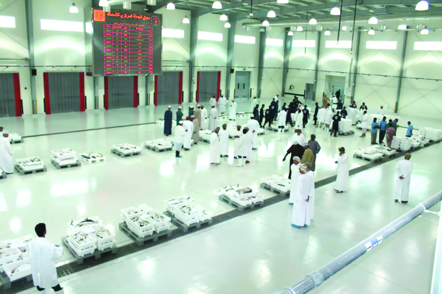 1.5 مليون ريال عماني مبيعات سوق الأسماك في 6 أشهر