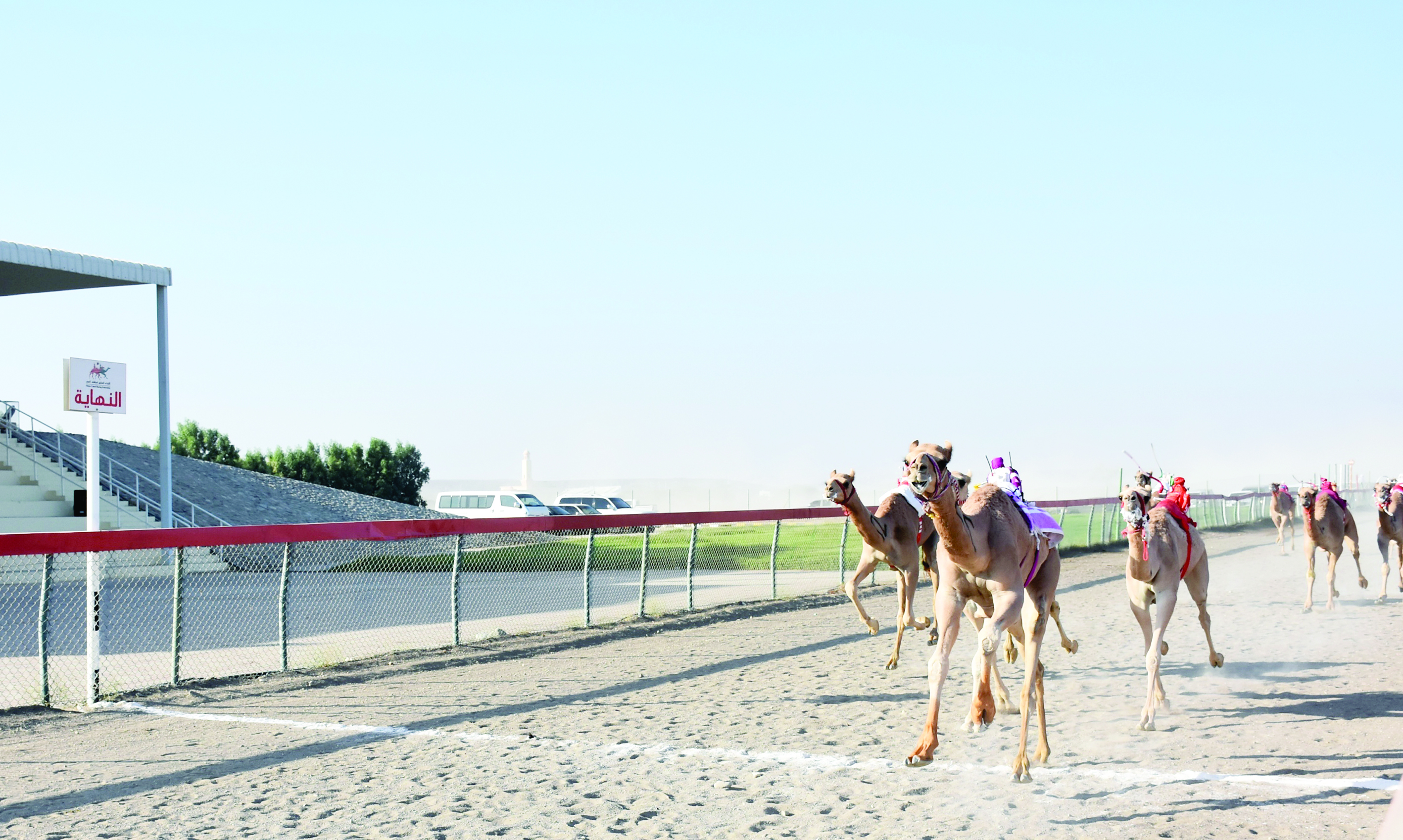اشتمل على 29 شوطاًانطلاقة مثيرة للسباق السنوي للهجن الأهلية في محطته الثالثة على ميدان صحار