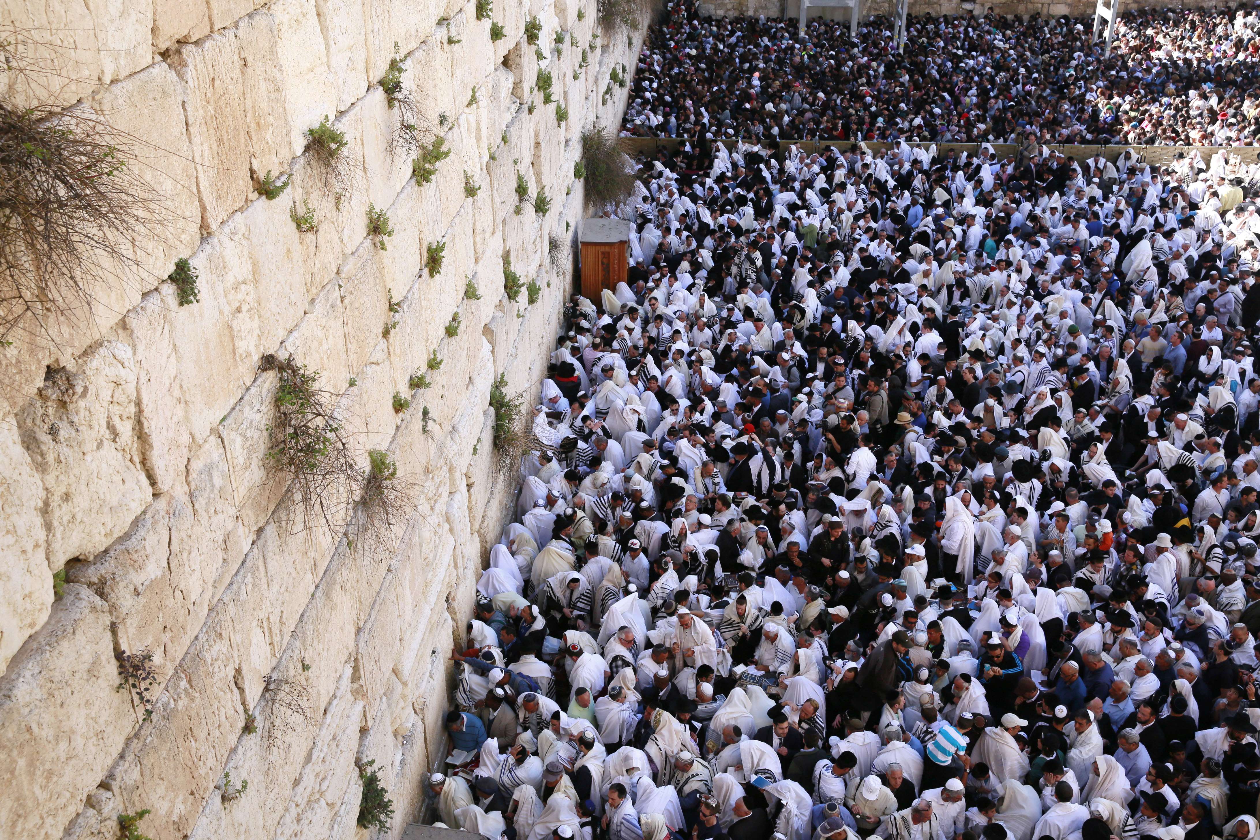 آلاف اليهود يدنسون البراق بمراسيم "بركة الكهنة"