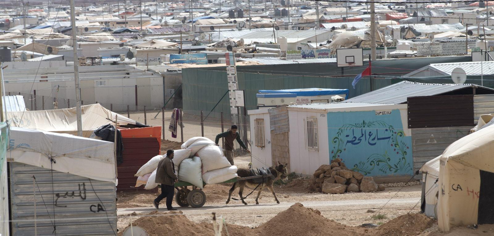 الحمير..وسيلة لكسب الرزق في مخيم الزعتري للاجئين بالأردن