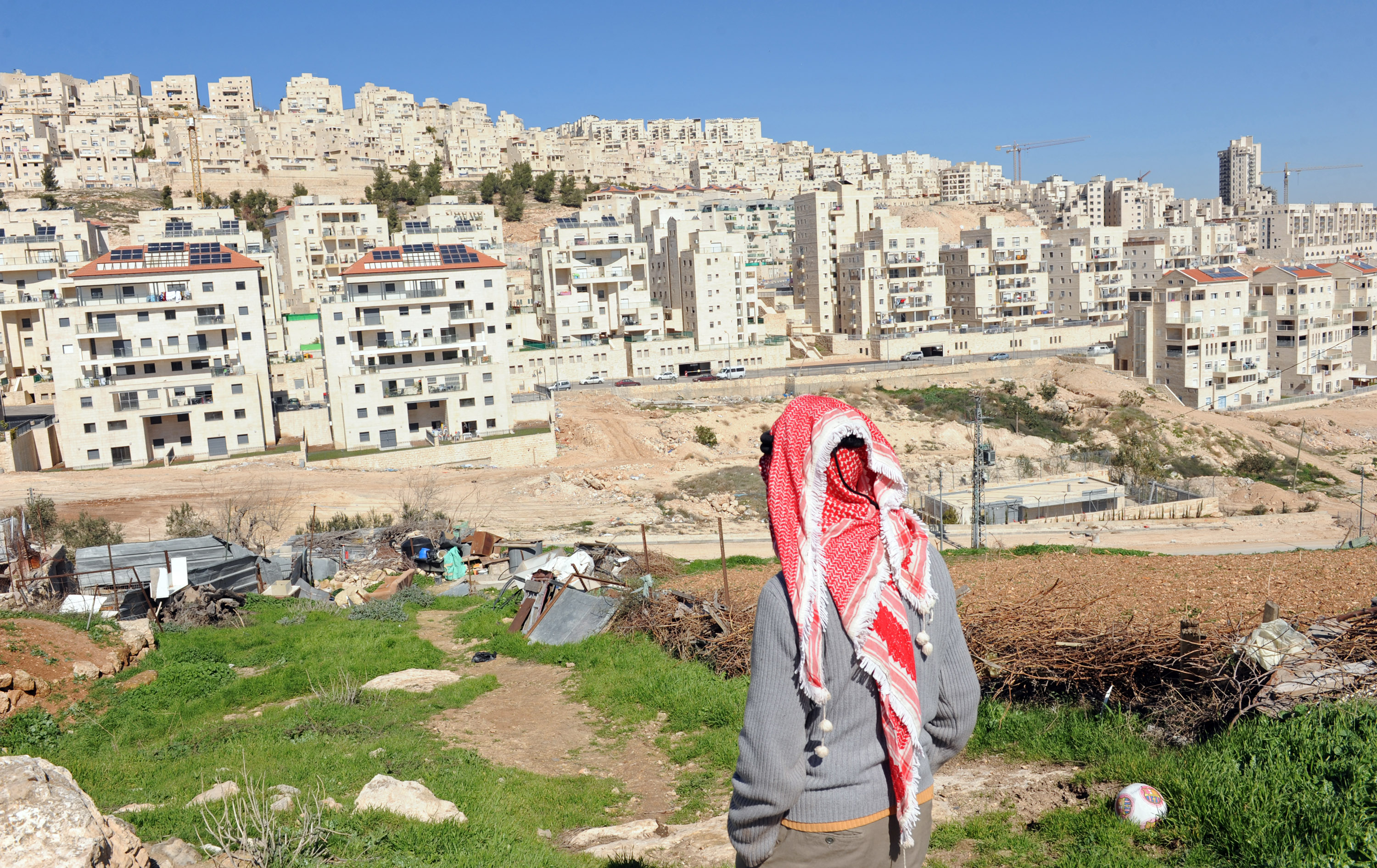 مستوطنون يسلبون مئات الدونمات في الأغوار الفلسطينية