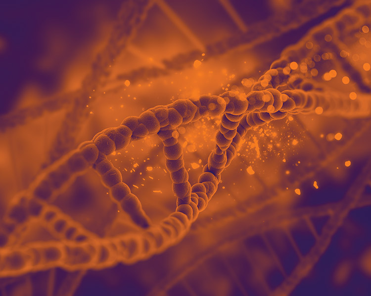 Doctor's column: Understanding medical genetics